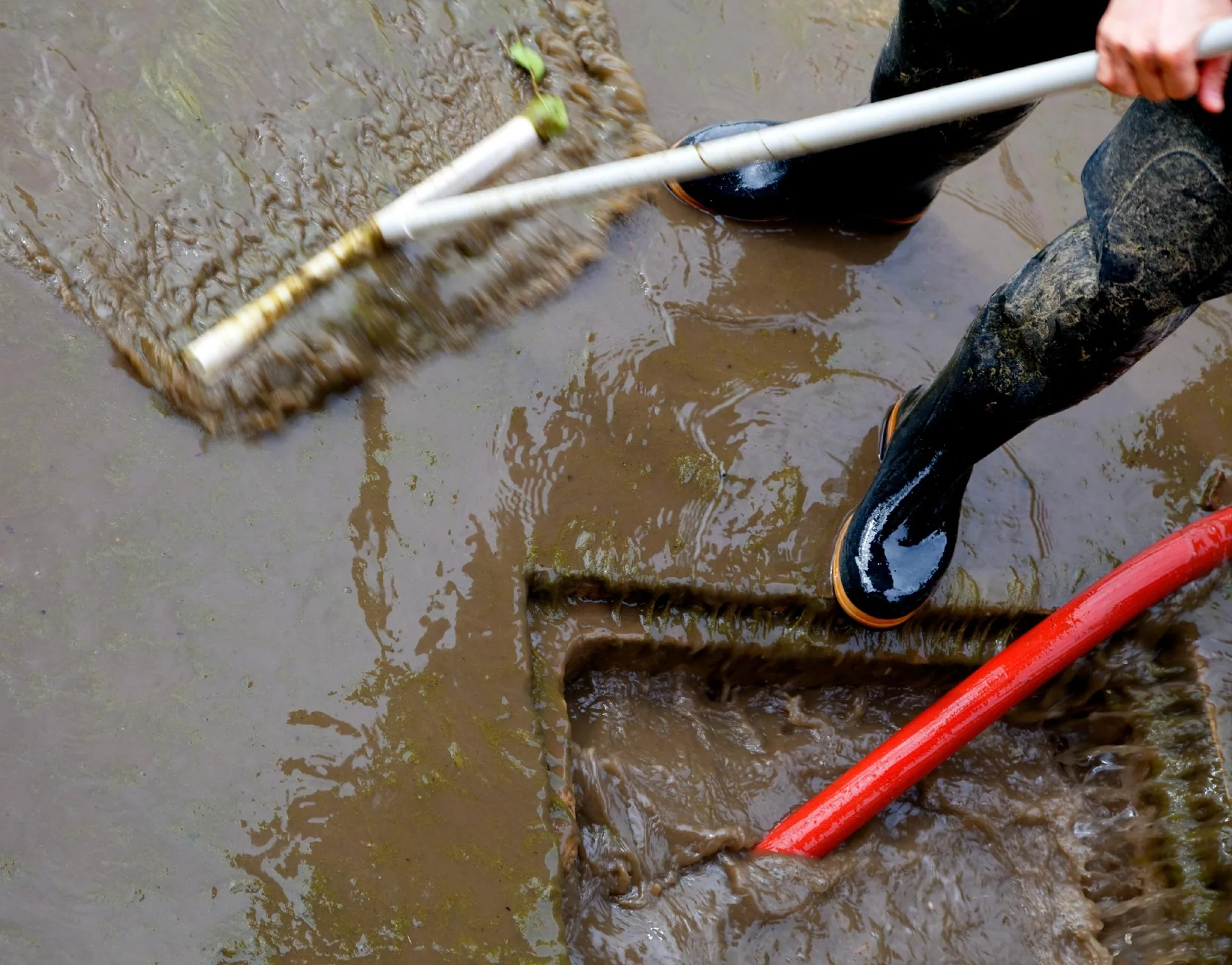 Drain cleaning